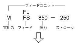 MF Model Description