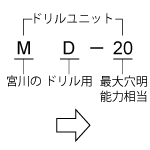 MD model description